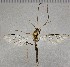  ( - UCSB-IZC00009198)  @11 [ ] CC-0 (2019) University of California, Santa Barbara University of California, Santa Barbara