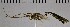  ( - UCSB-IZC00009198)  @11 [ ] CC-0 (2019) University of California, Santa Barbara University of California, Santa Barbara