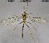  ( - UCSB-IZC00010276)  @12 [ ] CC-0 (2019) University of California, Santa Barbara University of California, Santa Barbara