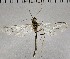  ( - UCSB-IZC00010280)  @11 [ ] CC-0 (2019) University of California, Santa Barbara University of California, Santa Barbara