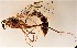 ( - UCSB-IZC00032555)  @11 [ ] CC-0 (2019) University of California, Santa Barbara University of California, Santa Barbara