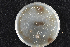  ( - 2015-175-2-4)  @11 [ ] CreativeCommons - Attribution Non-Commercial Share-Alike (2015) Norwegian institute of bioeconomy research Norwegian institute of bioeconomy research
