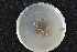  ( - 2015-194-3)  @11 [ ] CreativeCommons - Attribution Non-Commercial Share-Alike (2015) Norwegian institute of bioeconomy research Norwegian institute of bioeconomy research