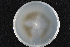  ( - 2015-712-1-1)  @11 [ ] CreativeCommons - Attribution Non-Commercial Share-Alike (2015) Norwegian institute of bioeconomy research Norwegian institute of bioeconomy research