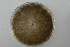  ( - 2015-712-2-1)  @11 [ ] CreativeCommons - Attribution Non-Commercial Share-Alike (2015) Norwegian institute of bioeconomy research Norwegian institute of bioeconomy research