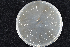  ( - 2015-723-2-3)  @11 [ ] CreativeCommons - Attribution Non-Commercial Share-Alike (2015) Norwegian institute for bioeconomy Norwegian institute of bioeconomy research