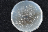  ( - 2015-730-2-1)  @11 [ ] CreativeCommons - Attribution Non-Commercial Share-Alike (2015) Norwegian institute of bioeconomy research Norwegian institute for bioeconomy