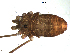  ( - BIOUG00633-F07)  @13 [ ] CC-0  G. Blagoev 2011 Unspecified
