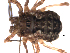  ( - BIOUG00881-A05)  @12 [ ] CC-0  G. Blagoev 2010 Unspecified