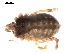  ( - BIOUG00881-B01)  @13 [ ] CC-0  G. Blagoev 2010 Unspecified
