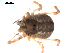  ( - BIOUG00881-B02)  @13 [ ] CC-0  G. Blagoev 2010 Unspecified