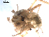  ( - BIOUG00881-B11)  @13 [ ] CC-0  G. Blagoev 2010 Unspecified