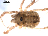  ( - BIOUG00881-E04)  @13 [ ] CC-0  G. Blagoev 2010 Unspecified