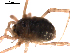  ( - BIOUG00881-E10)  @13 [ ] CC-0  G. Blagoev 2010 Unspecified