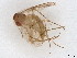  ( - BIOUG34576-H06)  @11 [ ] CreativeCommons - Attribution (2022) CBG Photography Group Centre for Biodiversity Genomics