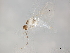  ( - BIOUG35812-B05)  @12 [ ] CreativeCommons - Attribution (2019) CBG Photography Group Centre for Biodiversity Genomics