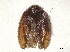  ( - BIOUG33328-E12)  @11 [ ] CreativeCommons - Attribution (2024) CBG Photography Group Centre for Biodiversity Genomics
