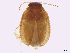  ( - BIOUG35389-C04)  @11 [ ] CreativeCommons - Attribution Share-Alike (2024) CBG Photography Group Centre for Biodiversity Genomics