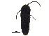  ( - BIOUG35529-G07)  @11 [ ] CreativeCommons - Attribution (2018) CBG Photography Group Centre for Biodiversity Genomics