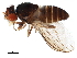  ( - BIOUG32889-B03)  @14 [ ] CreativeCommons - Attribution (2019) CBG Photography Group Centre for Biodiversity Genomics
