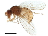  ( - BIOUG32907-E09)  @14 [ ] CreativeCommons - Attribution (2019) CBG Photography Group Centre for Biodiversity Genomics