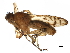  ( - BIOUG35859-G01)  @11 [ ] CreativeCommons - Attribution (2018) CBG Photography Group Centre for Biodiversity Genomics