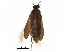  ( - BIOUG34800-A04)  @14 [ ] CreativeCommons - Attribution (2018) CBG Photography Group Centre for Biodiversity Genomics
