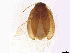  ( - BIOUG34749-C02)  @11 [ ] CreativeCommons - Attribution Share-Alike (2024) CBG Photography Group Centre for Biodiversity Genomics