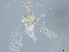  ( - BIOUG34868-G07)  @11 [ ] CreativeCommons - Attribution (2022) CBG Photography Group Centre for Biodiversity Genomics
