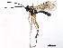 ( - BIOUG34148-E01)  @14 [ ] CreativeCommons - Attribution (2018) CBG Photography Group Centre for Biodiversity Genomics