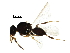  (Aceroteta - BIOUG33892-B07)  @14 [ ] CreativeCommons - Attribution (2017) CBG Photography Group Centre for Biodiversity Genomics