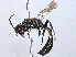  ( - BIOUG34605-D10)  @11 [ ] CreativeCommons - Attribution (2022) CBG Photography Group Centre for Biodiversity Genomics