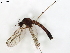  ( - BIOUG35148-A09)  @11 [ ] CreativeCommons - Attribution (2021) CBG Photography Group Centre for Biodiversity Genomics