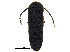  ( - BIOUG35552-B02)  @11 [ ] CreativeCommons - Attribution (2018) CBG Photography Group Centre for Biodiversity Genomics