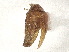  ( - BIOUG33307-G02)  @11 [ ] CreativeCommons - Attribution (2024) CBG Photography Group Centre for Biodiversity Genomics