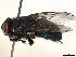  ( - BIOUG33925-B11)  @11 [ ] CreativeCommons - Attribution (2021) CBG Photography Group Centre for Biodiversity Genomics