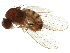  ( - BIOUG34071-C11)  @13 [ ] CreativeCommons - Attribution (2019) CBG Photography Group Centre for Biodiversity Genomics