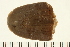  ( - HLC-24031)  @11 [ ] CreativeCommons - Attribution (2008) Unspecified Centre for Biodiversity Genomics