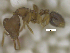 ( - MACN-Bar-Ins-ct 07933)  @11 [ ] Copyright (2018) MACN Museo Argentino de Ciencias Naturales "Bernardino Rivadavia"