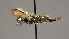 ( - OSAC_0001252205)  @11 [ ] CreativeCommons  Attribution (by) (2022) Pollinator Health Lab Oregon State University