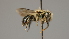  ( - OSAC_0001252253)  @11 [ ] CreativeCommons  Attribution (by) (2022) Pollinator Health Lab Oregon State University