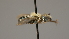  ( - OSAC_0001252278)  @11 [ ] CreativeCommons  Attribution (by) (2022) Pollinator Health Lab Oregon State University