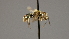  ( - OSAC_0001252305)  @11 [ ] CreativeCommons  Attribution (by) (2022) Pollinator Health Lab Oregon State University