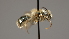  ( - OSAC_0001252307)  @11 [ ] CreativeCommons  Attribution (by) (2022) Pollinator Health Lab Oregon State University