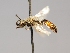  ( - OSAC_0001252469)  @11 [ ] CreativeCommons  Attribution (by) (2022) Pollinator Health Lab Oregon State University