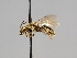  ( - OSAC_0001252527)  @11 [ ] CreativeCommons  Attribution (by) (2022) Pollinator Health Lab Oregon State University