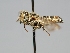  ( - OSAC_0001277881)  @11 [ ] CreativeCommons  Attribution (by) (2022) Pollinator Health Lab Oregon State University