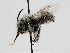  ( - OSAC_0001273396)  @11 [ ] CreativeCommons  Attribution (by) (2022) Pollinator Health Lab Oregon State University
