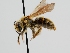  ( - OSAC_0001278278)  @11 [ ] CreativeCommons  Attribution (by) (2022) Pollinator Health Lab Oregon State University