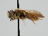  ( - OSAC_0001278473)  @11 [ ] CreativeCommons  Attribution (by) (2022) Pollinator Health Lab Oregon State University